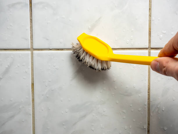 Best Water Damage Restoration  in Pittston, PA