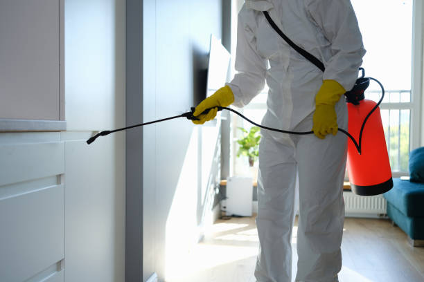 Best Professional Mold Removal  in Pittston, PA