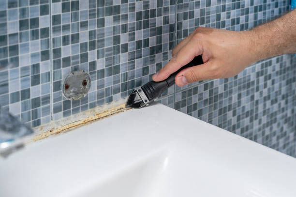 Best Mold Removal Near Me  in Pittston, PA