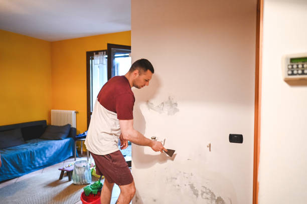 Best Attic Mold Removal  in Pittston, PA