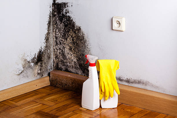 Water Damage Restoration in Pittston, PA